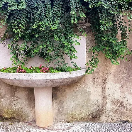 Daire La Rocconella Arten
