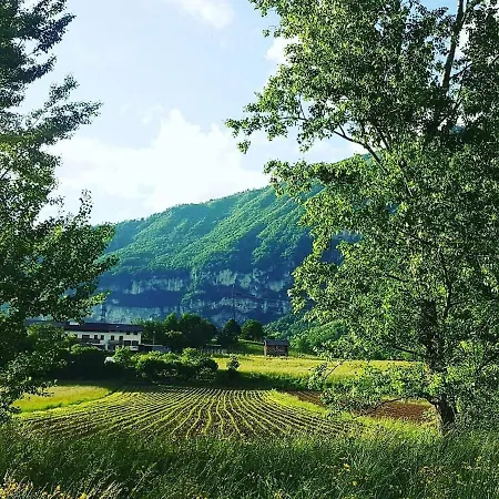 La Rocconella Daire Arten