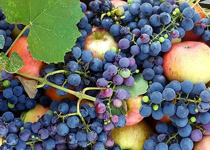 Lejlighed La Rocconella Arten