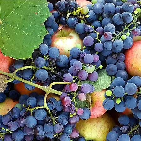 Apartamento La Rocconella Arten