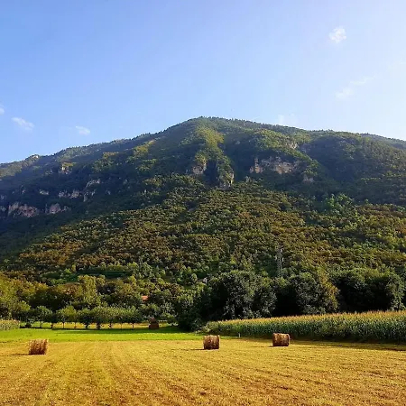 La Rocconella Arten