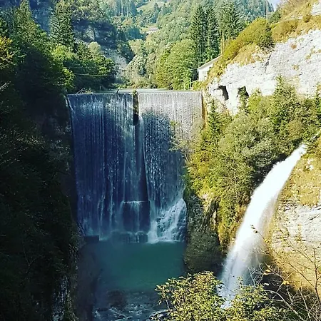 La Rocconella Arten