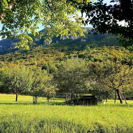 La Rocconella * Arten