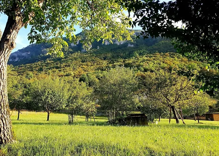 La Rocconella * Arten